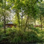 Rcn Vakantiepark Het Grote Bos - Bild 3