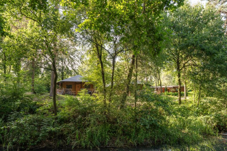 Rcn Vakantiepark Het Grote Bos - Bild 3