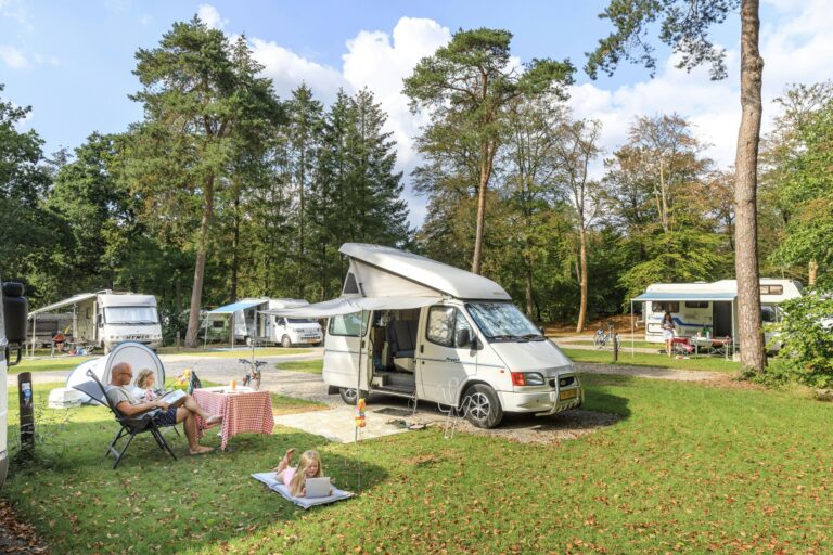 Rcn Vakantiepark Het Grote Bos - Bild 5