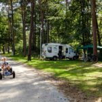 Rcn Vakantiepark Het Grote Bos - Bild 6