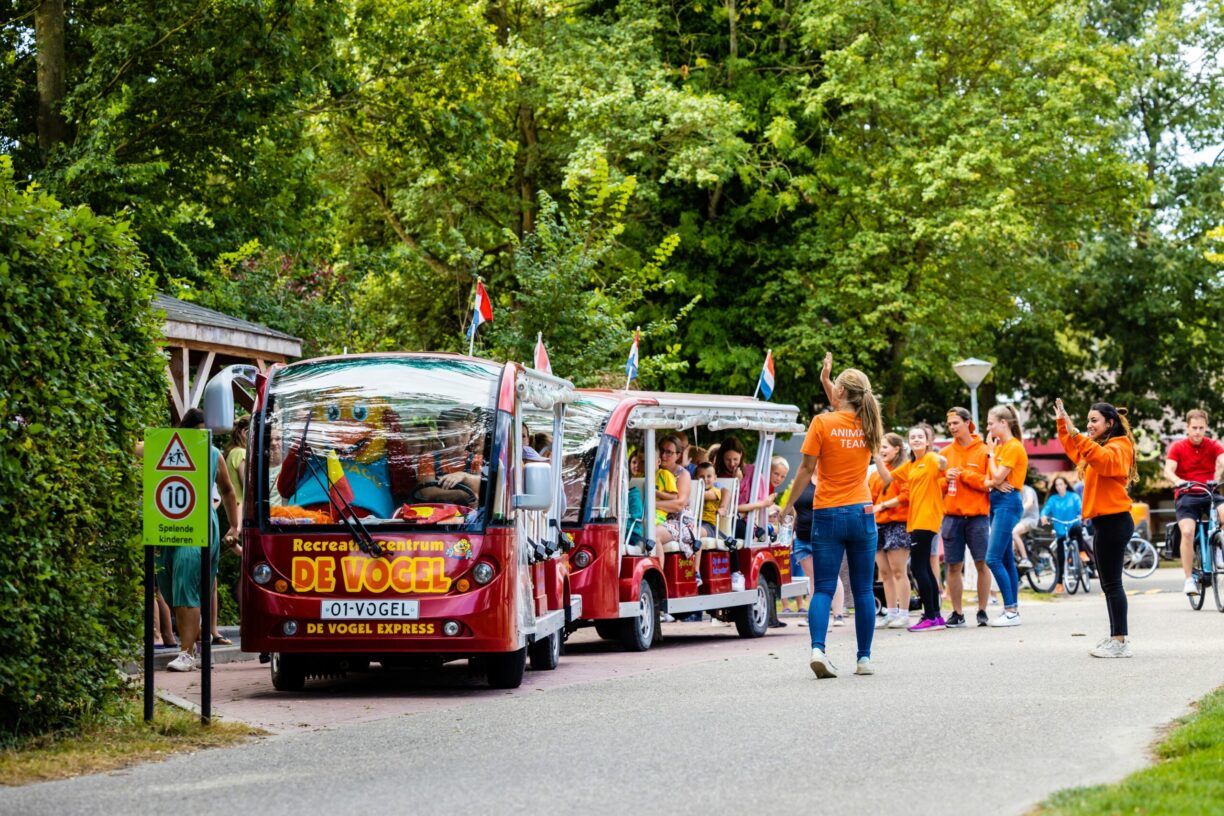 Recreatiecentrum De Vogel - Bild 17 Recreatiecentrum De Vogel - Bild 17