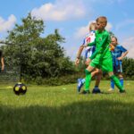 Recreatiepark De Boshoek - Bild 10 Recreatiepark De Boshoek - Bild 10