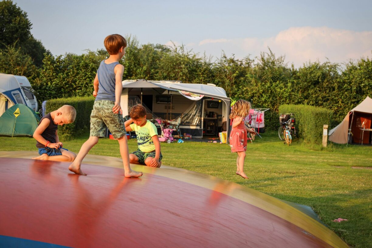 Recreatiepark De Boshoek - Bild 11 Recreatiepark De Boshoek - Bild 11