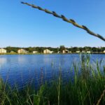 Recreatiepark De Bosrand - Bild 13