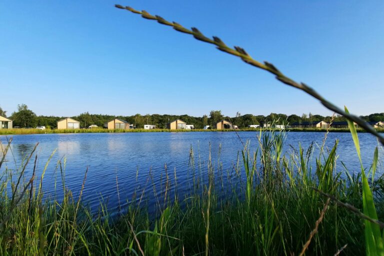 Recreatiepark De Bosrand - Bild 13