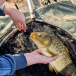 Recreatiepark De Meibeek - Bild 8