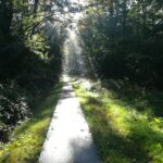 Recreatiepark De Voorst - Bild 3