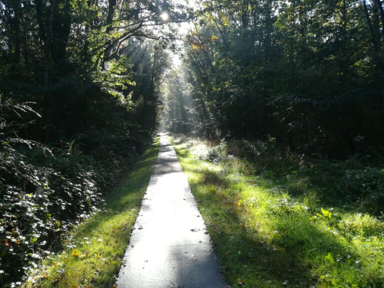 Recreatiepark De Voorst - Bild 3