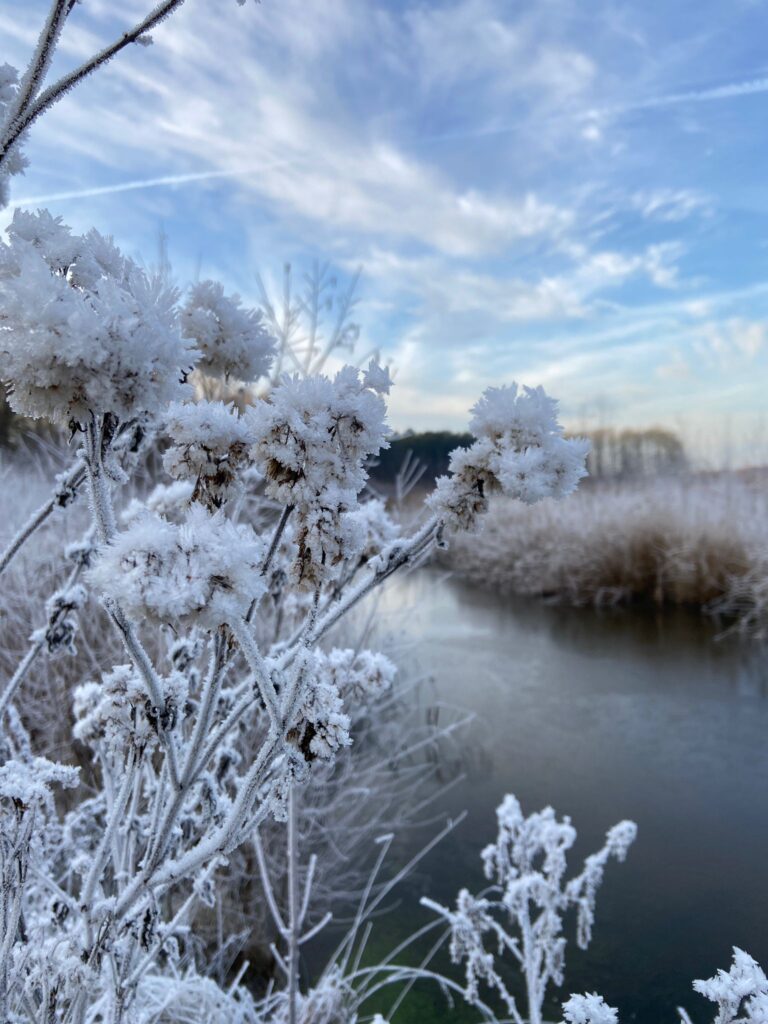 Recreatiepark De Voorst - Bild 5