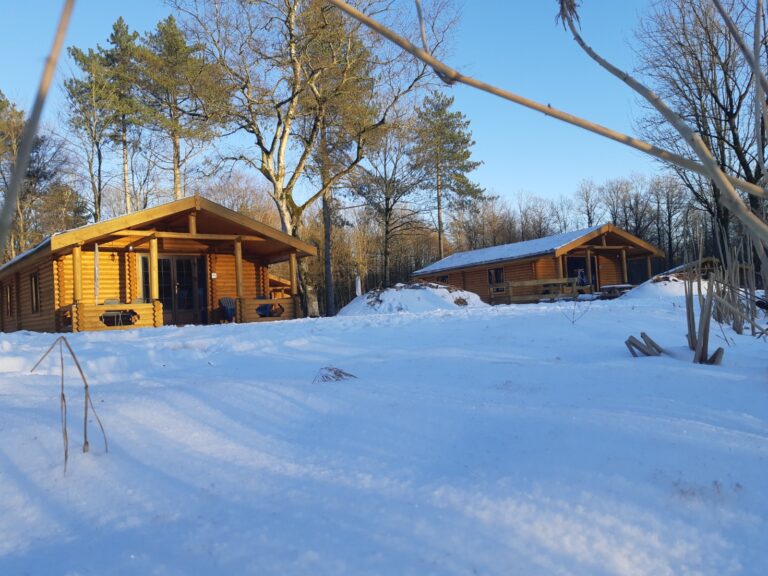 Recreatiepark De Voorst - Bild 6