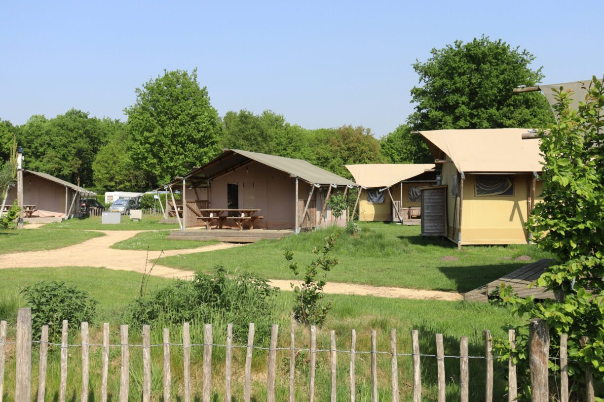 Recreatiepark Duinhoeve - Bild 4 Recreatiepark Duinhoeve - Bild 4