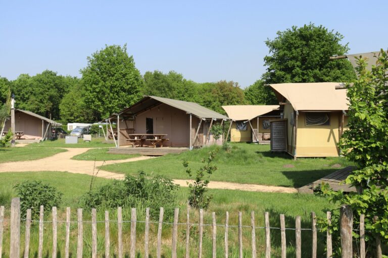 Recreatiepark Duinhoeve - Bild 4 Recreatiepark Duinhoeve - Bild 4