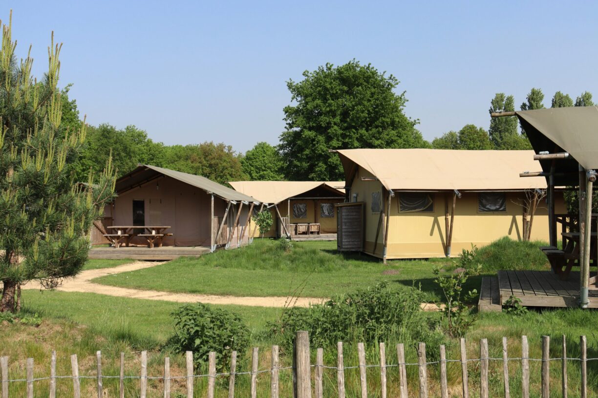 Recreatiepark Duinhoeve - Bild 5 Recreatiepark Duinhoeve - Bild 5