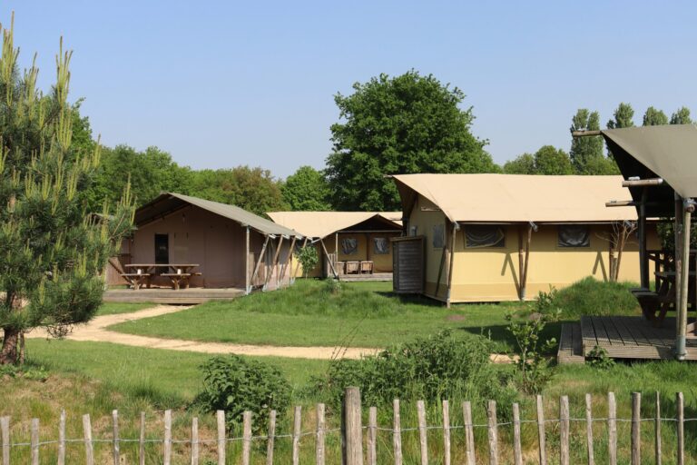 Recreatiepark Duinhoeve - Bild 5 Recreatiepark Duinhoeve - Bild 5