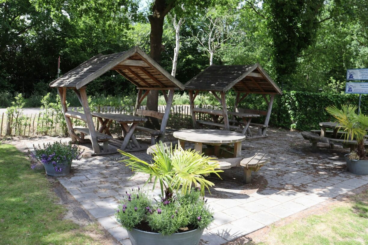 Recreatiepark Duinhoeve - Bild 6 Recreatiepark Duinhoeve - Bild 6