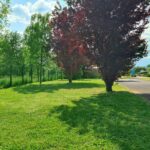 Resort & Camping - Val De Braye - Bild 11