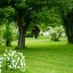 Resort & Camping - Val De Braye - Bild 15