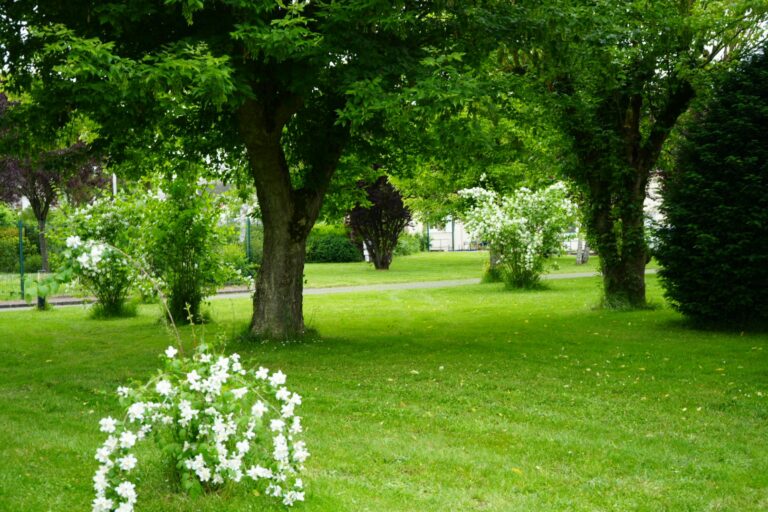 Resort & Camping - Val De Braye - Bild 15