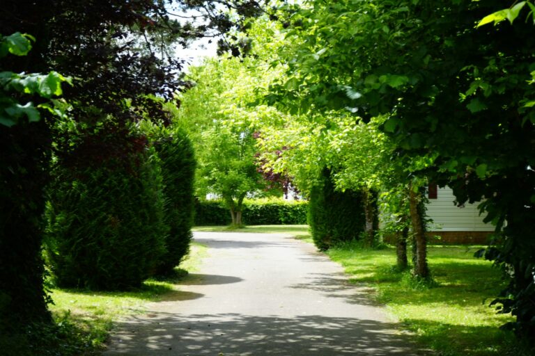 Resort & Camping - Val De Braye - Bild 16