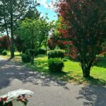 Resort & Camping - Val De Braye - Bild 3