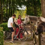 Resort De Parel - Bild 10