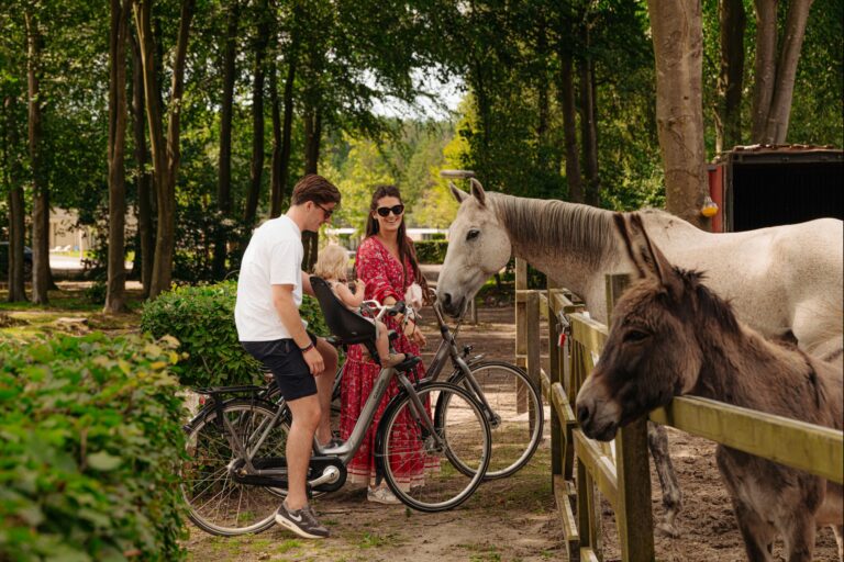 Resort De Parel - Bild 10