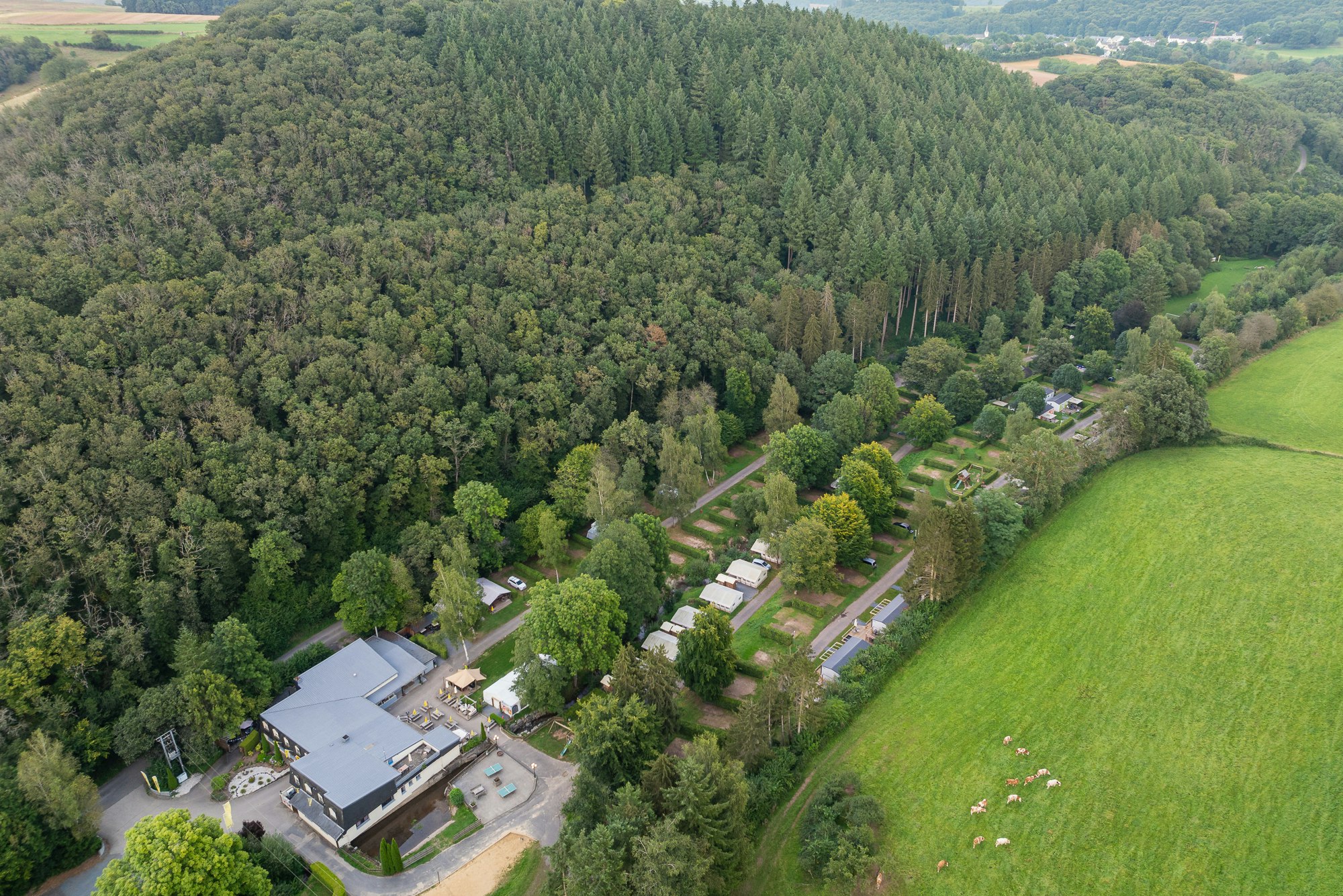 Resort Walsdorf - Bild 2