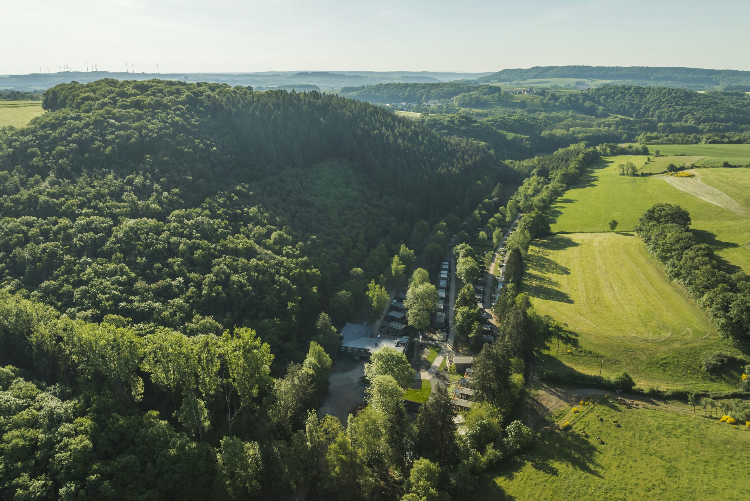 Resort Walsdorf - Bild 4