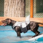 Rimini Family Resort - Bild 20