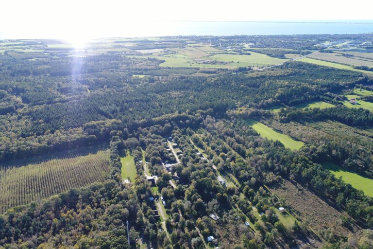 Ringkøbing Camping - Bild 1 Ringkøbing Camping - Bild 1