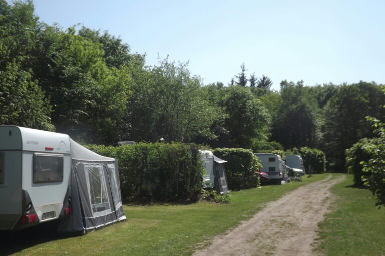 Ringkøbing Camping - Bild 3