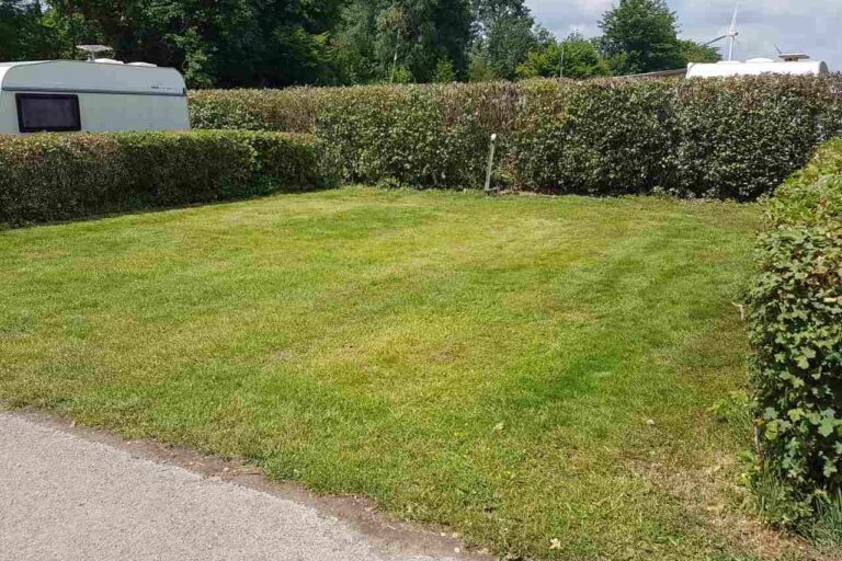 Rohloff Ferienpark Buschhof - Bild 17