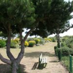 Romanée - Le Châtelet - Bild 9