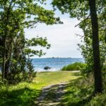 Ronneby Havscamping - Bild 6