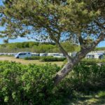 Rosenvold Strand Camping - Bild 10