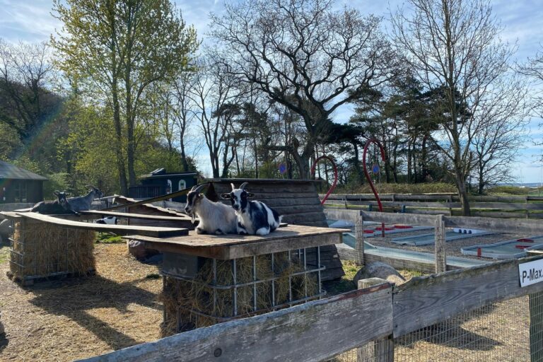 Rosenvold Strand Camping - Bild 15