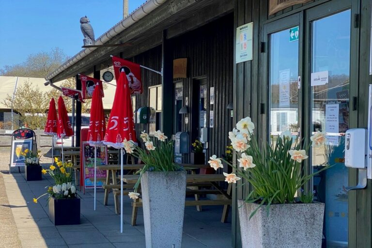 Rosenvold Strand Camping - Bild 3