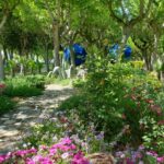 Roseto Easy Camping Village - Bild 17