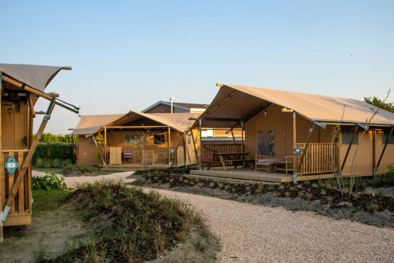 Sahara Stay - Bild 2