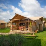 Sahara Stay - Bild 5