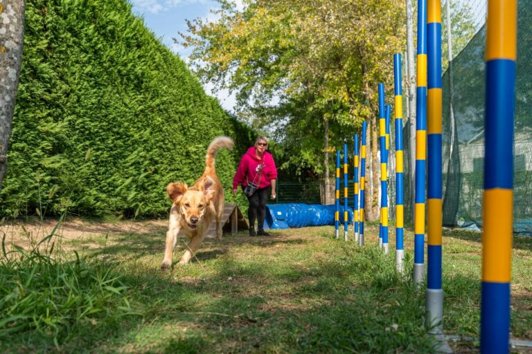 Sandaya Camping Village Europa - Bild 9