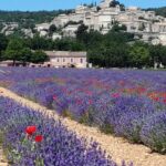 Sas Camping De Valsaintes - Bild 5