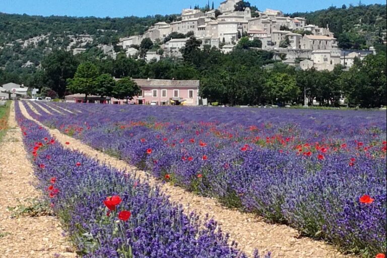 Sas Camping De Valsaintes - Bild 5