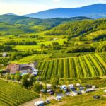 Saxida Wine & Camping Resort - Bild 1 Saxida Wine & Camping Resort - Bild 1