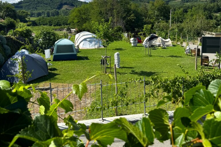 Saxida Wine & Camping Resort - Bild 10 Saxida Wine & Camping Resort - Bild 10