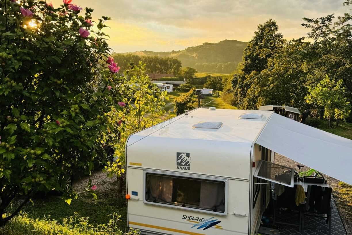 Saxida Wine & Camping Resort - Bild 11 Saxida Wine & Camping Resort - Bild 11