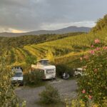 Saxida Wine & Camping Resort - Bild 12 Saxida Wine & Camping Resort - Bild 12