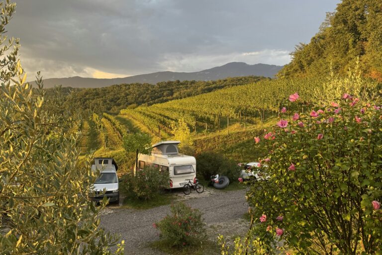 Saxida Wine & Camping Resort - Bild 12 Saxida Wine & Camping Resort - Bild 12