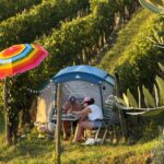 Saxida Wine & Camping Resort - Bild 13 Saxida Wine & Camping Resort - Bild 13