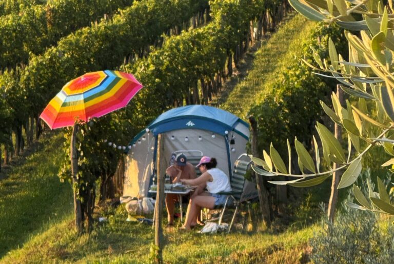 Saxida Wine & Camping Resort - Bild 13 Saxida Wine & Camping Resort - Bild 13